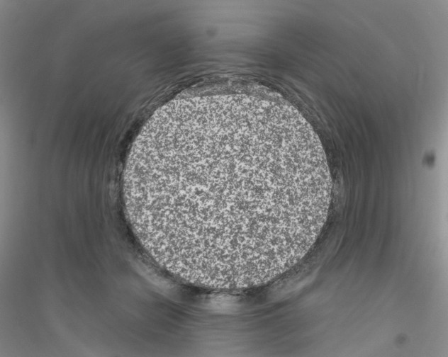 X0000116890462201002021213