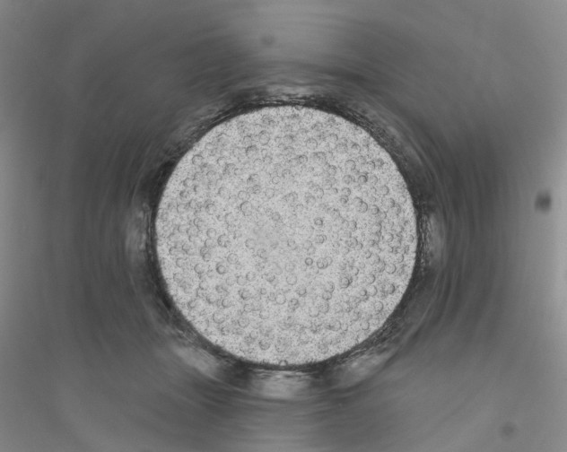 X0000116890463201002021213