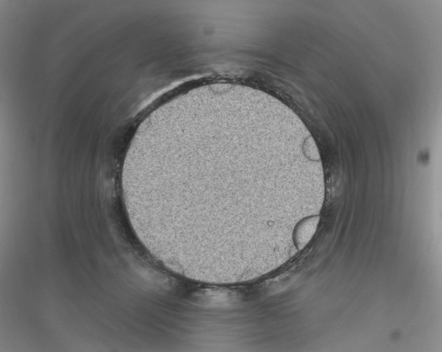 X0000116890464201002021213