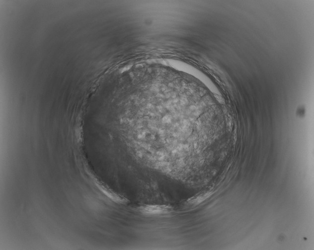 X0000116890465201002021213