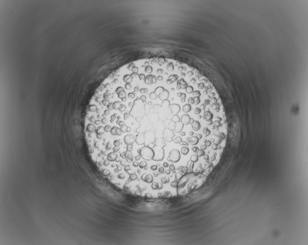 X0000116890466201002021213