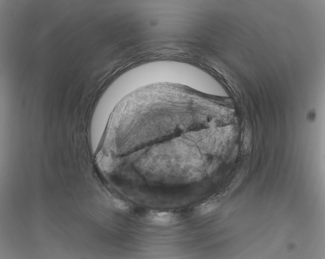 X0000116890467201002021213