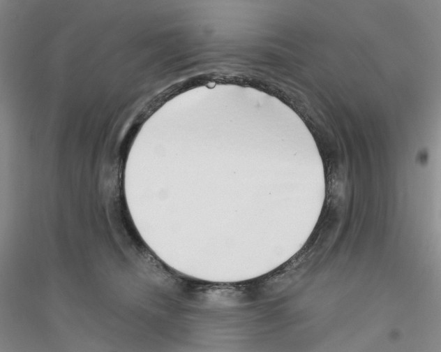 X0000116890468201002021213