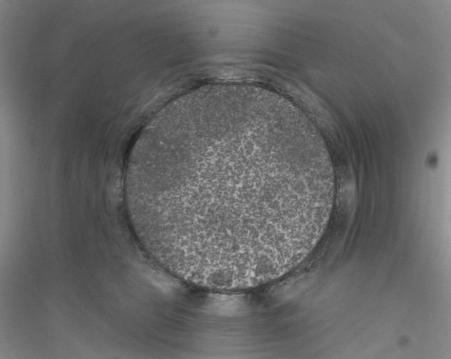 X0000116890469201002021213