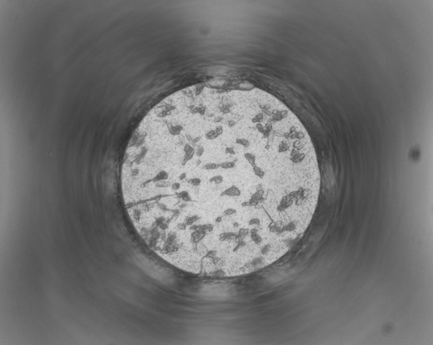 X0000116890470201002021213