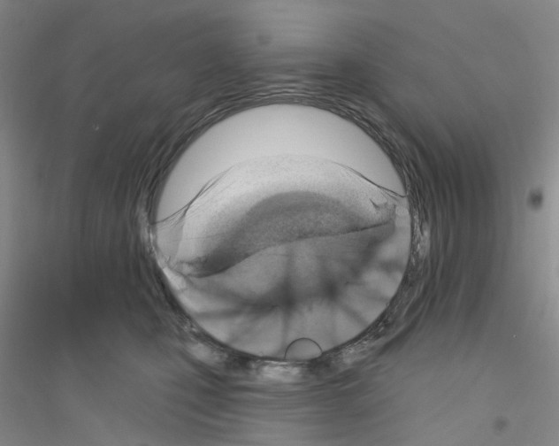 X0000116890471201002021213