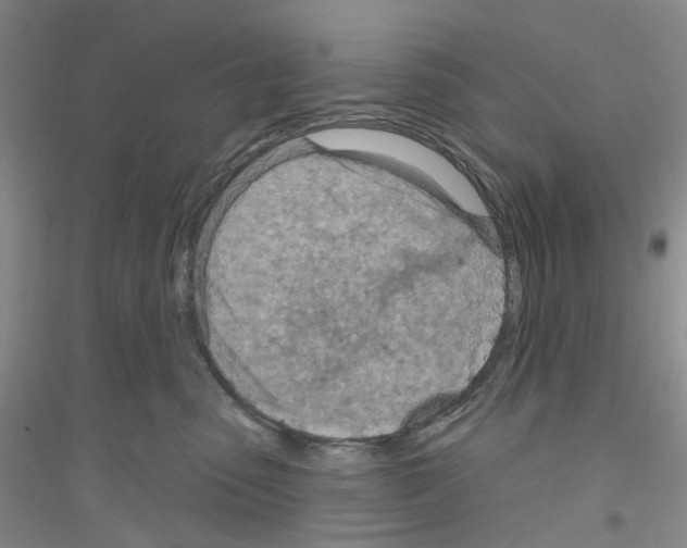 X0000116890475201002021213