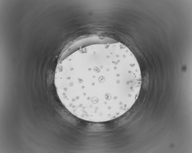 X0000116890476201002021213