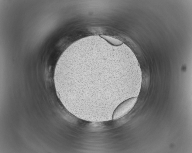 X0000116890477201002021213