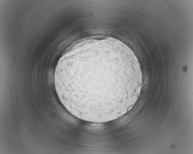 X0000116890478201002021213