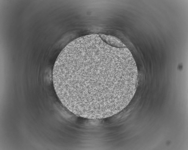 X0000116890479201002021213