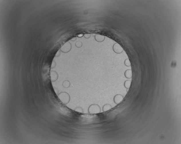 X0000116890480201002021213