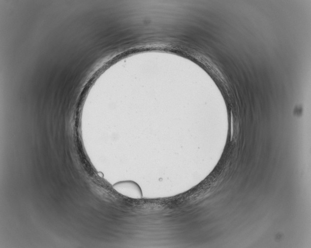 X0000116890483201002021212