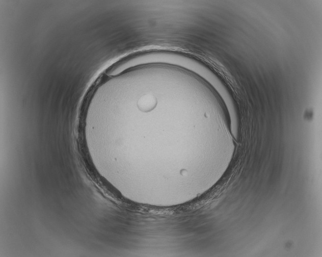 X0000116890484201002021212