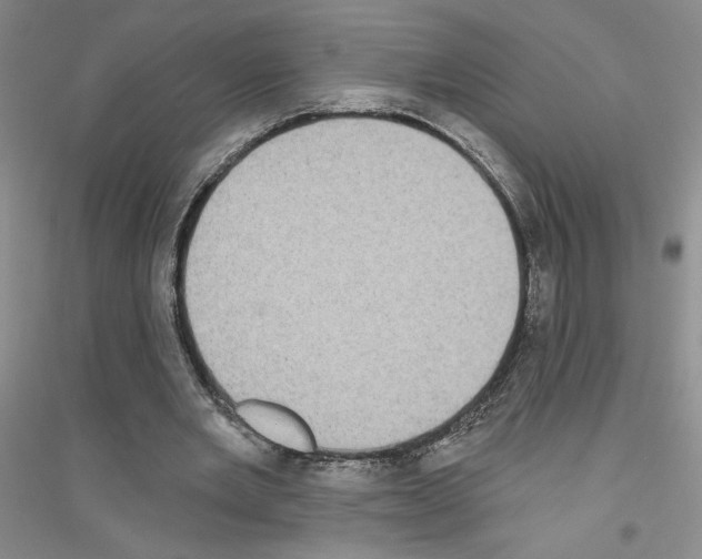 X0000116890485201002021212