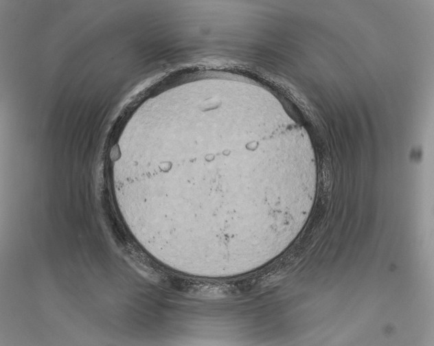 X0000116890488201002021212