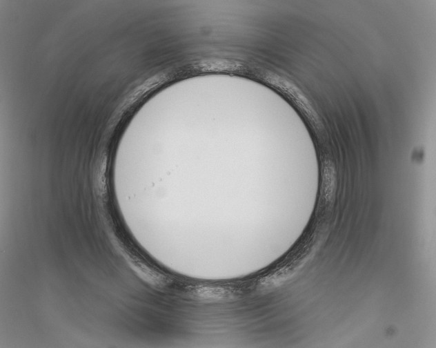 X0000116890490201002021212