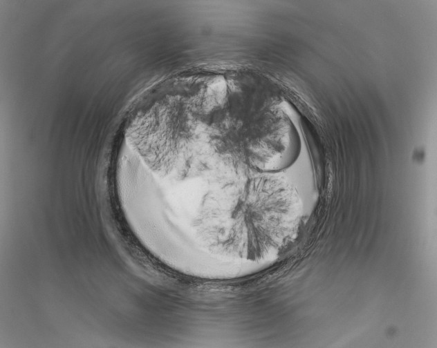 X0000116890491201002021212