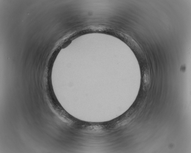 X0000116890492201002021212