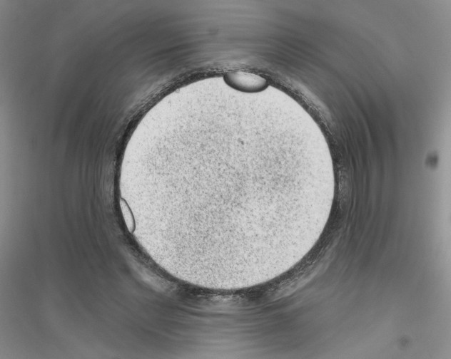 X0000116890493201002021212