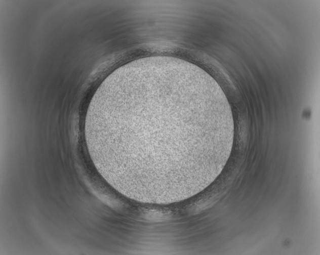 X0000116890494201002021212