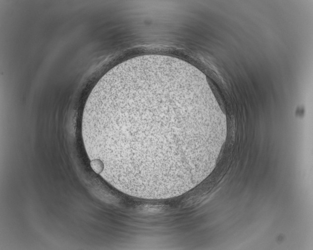 X0000116890495201002021212