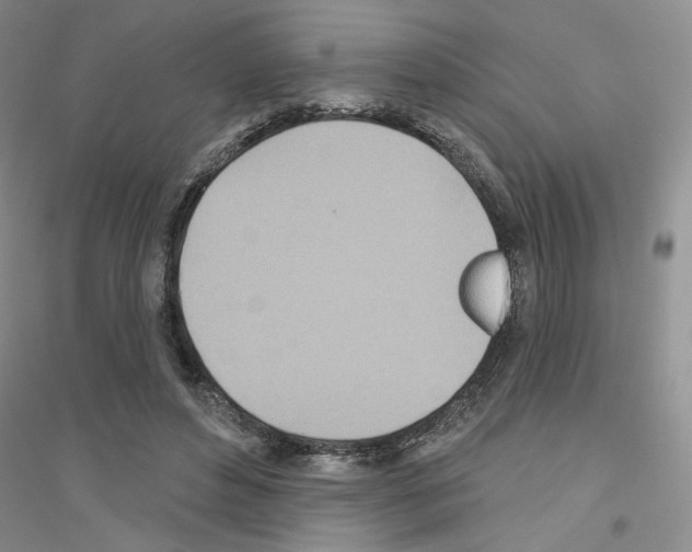 X0000116890496201002021212