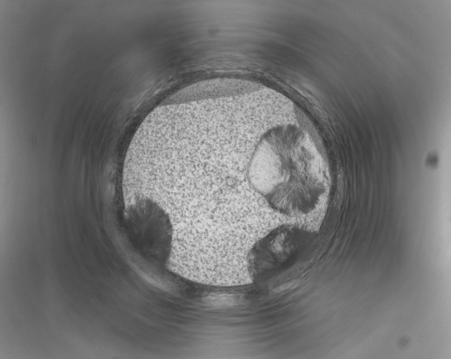 X0000116890499201002021212