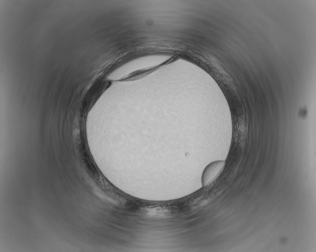 X0000116890500201002021212