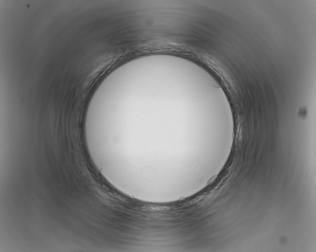 X0000116890501201002021212