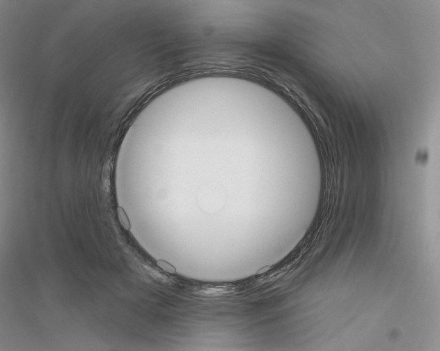 X0000116890505201002021212