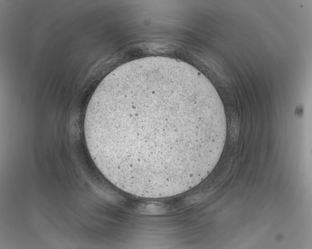 X0000116890506201002021212