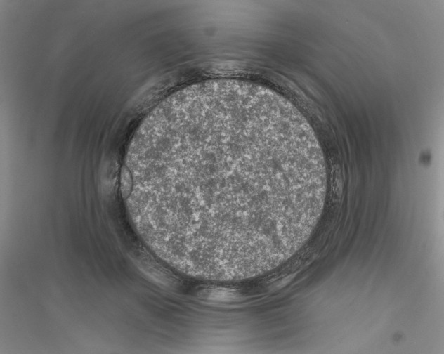 X0000116890507201002021212