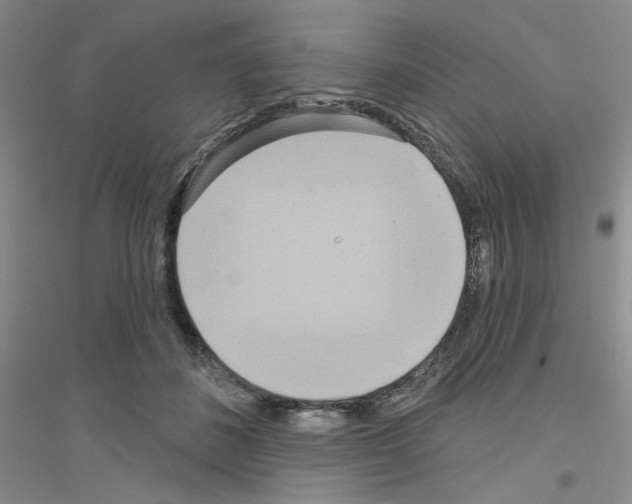 X0000116890508201002021212