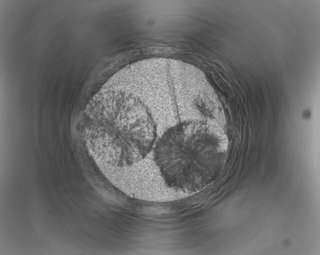 X0000116890511201002021212