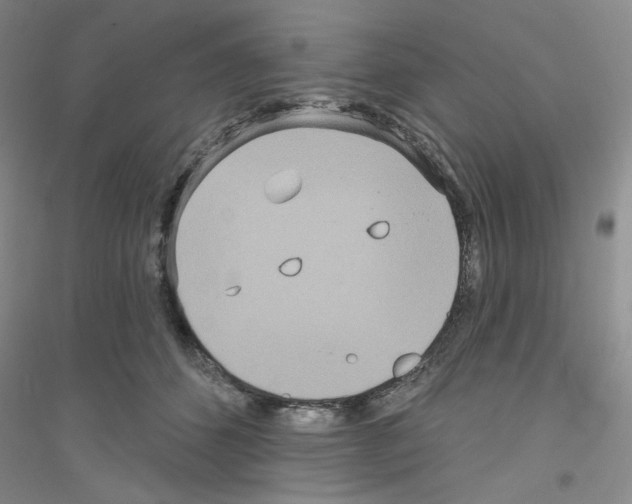 X0000116890512201002021212