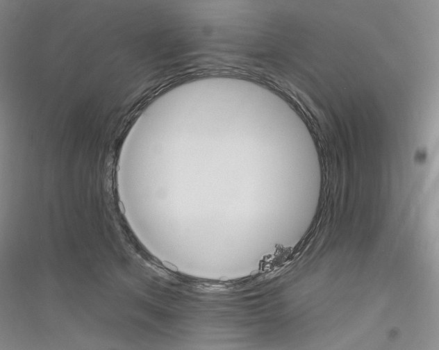 X0000116890513201002021212