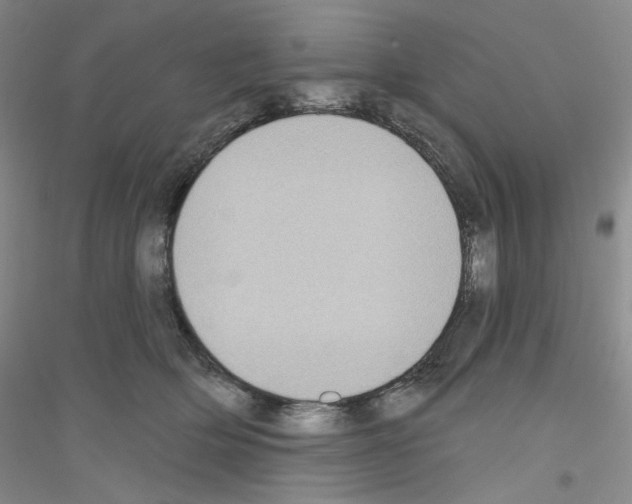 X0000116890514201002021212