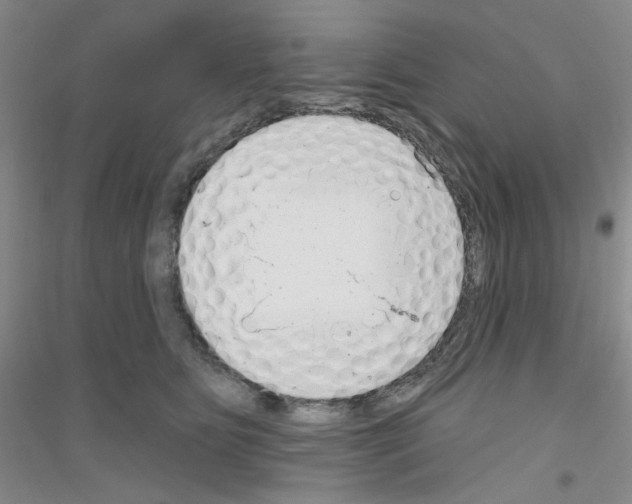 X0000116890515201002021212