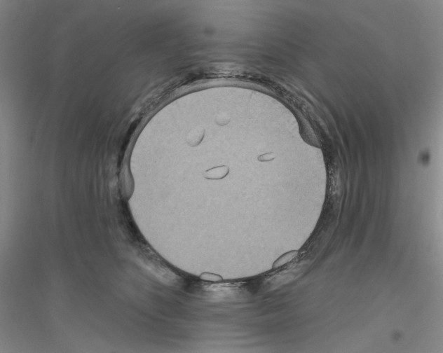 X0000116890516201002021212