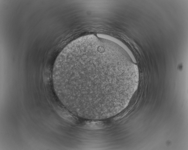 X0000116890517201002021212