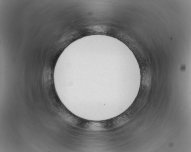 X0000116890518201002021212