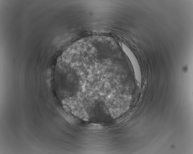 X0000116890519201002021212