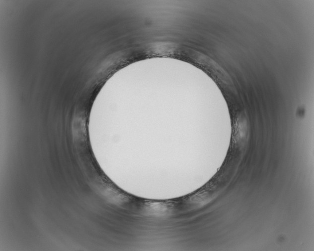 X0000116890522201002021212