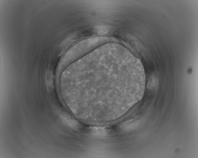 X0000116890524201002021212