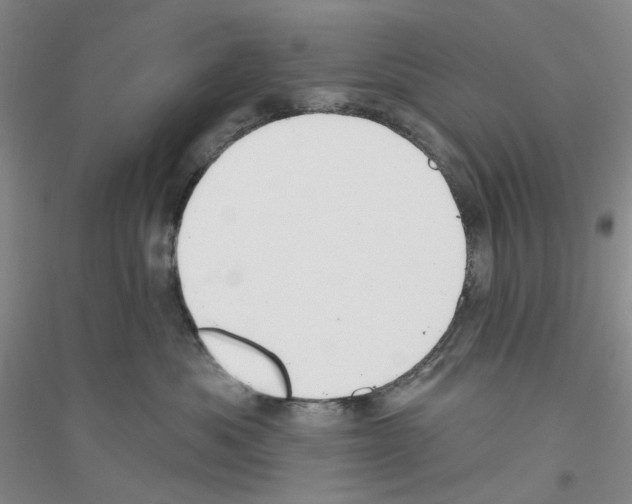 X0000116890525201002021212