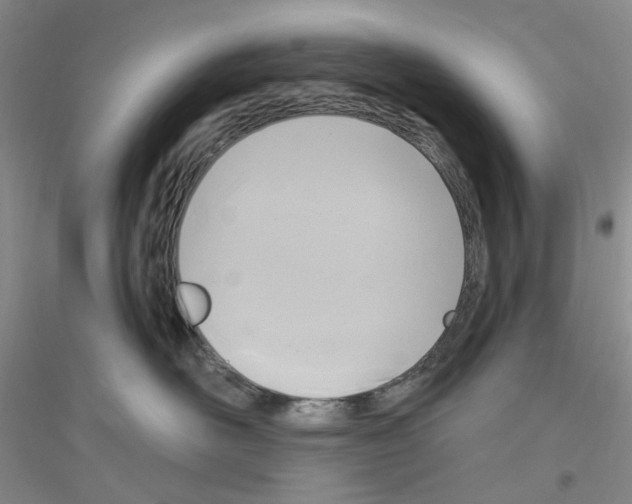 X0000116890526201002021212