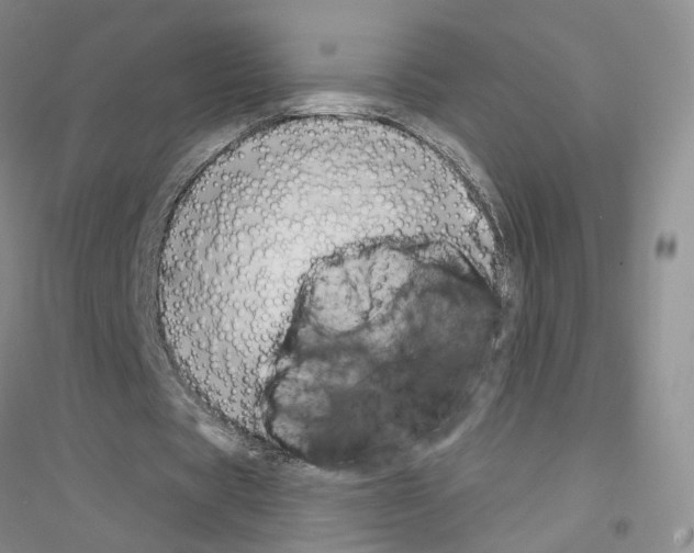 X0000116890529201002021211