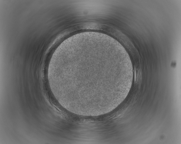 X0000116890531201002021211