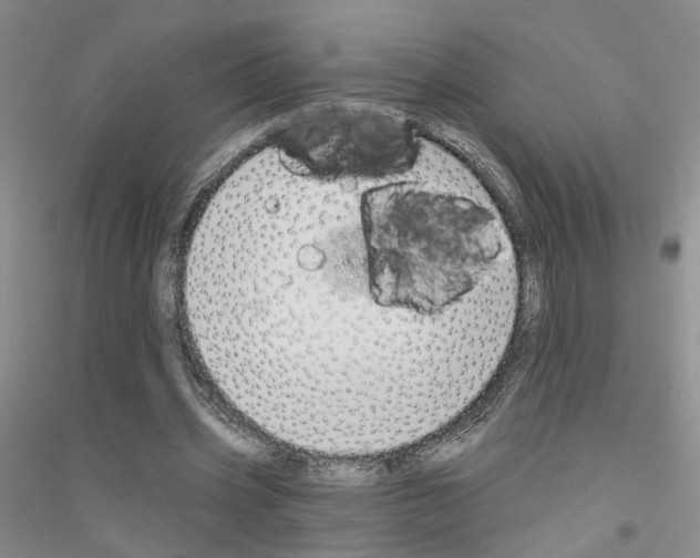 X0000116890533201002021211